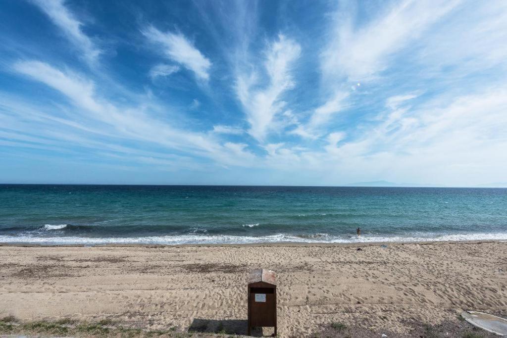 Blue Horizon 2 *